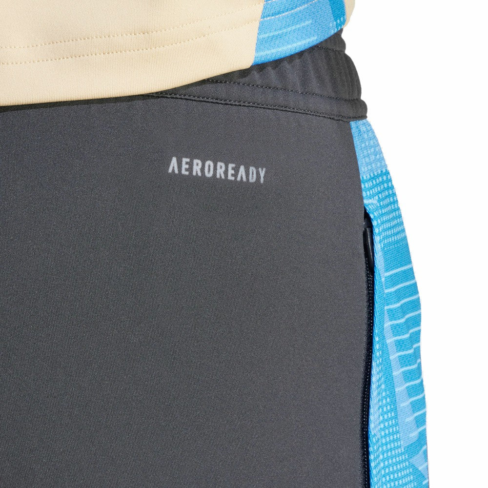 Argentina National Team 2024 AEROREADY Training Pants Gray