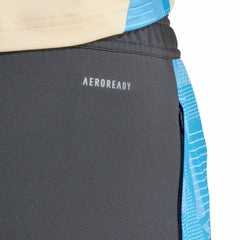 Argentina National Team 2024 AEROREADY Training Pants Gray
