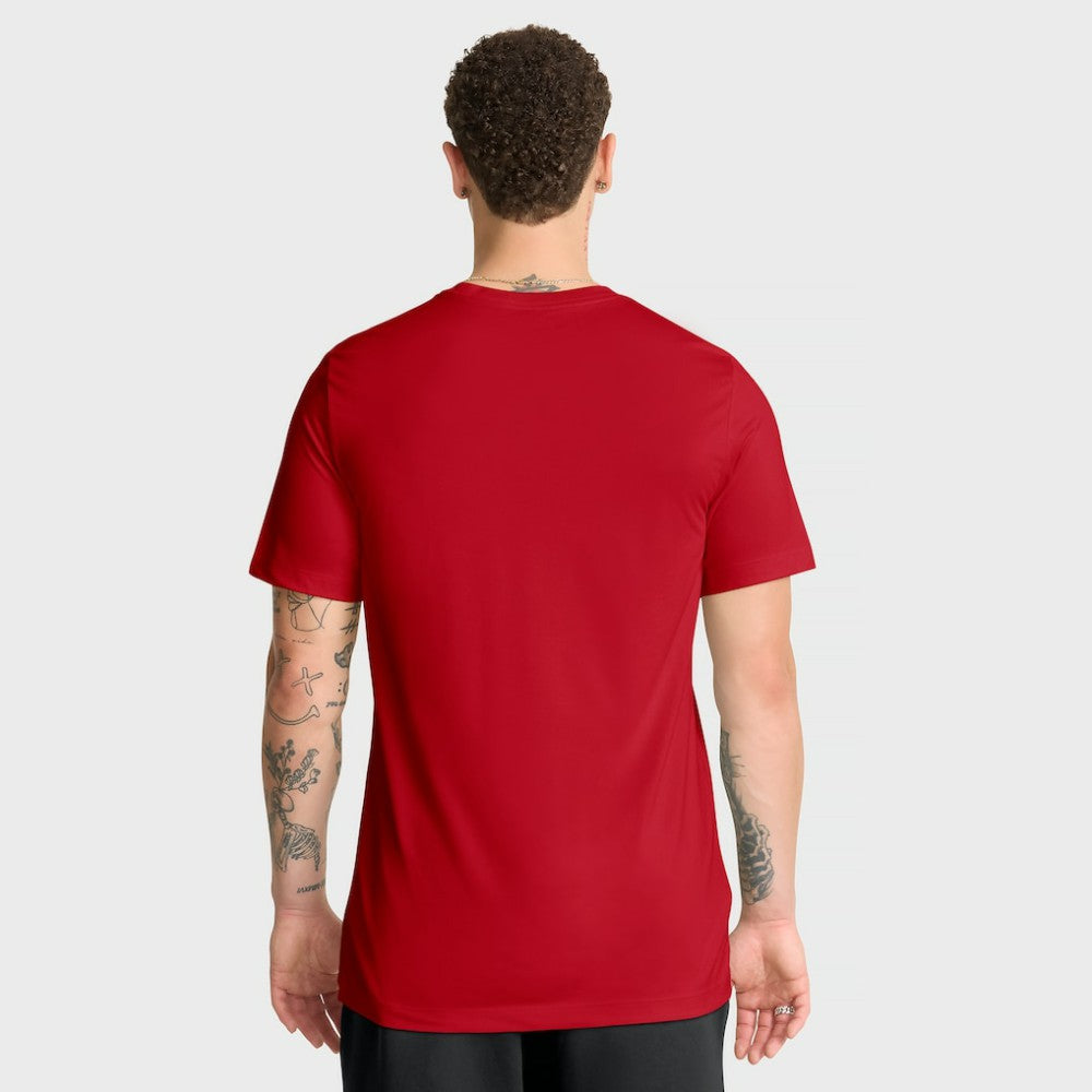 Cincinnati Reds Nike Knockout Team Legend Dri-FIT T-Shirt - Red T-shirts