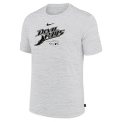 Tampa Bay Rays Nike Authentic Collection Velocity Performance Practice T-Shirt - Ash T-shirts