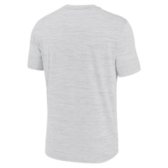 Tampa Bay Rays Nike Authentic Collection Velocity Performance Practice T-Shirt - Ash T-shirts