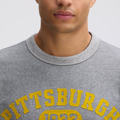 Pittsburgh Steelers IconicFleece Short Sleeve Sweatshirt Athletic Heather Gray
