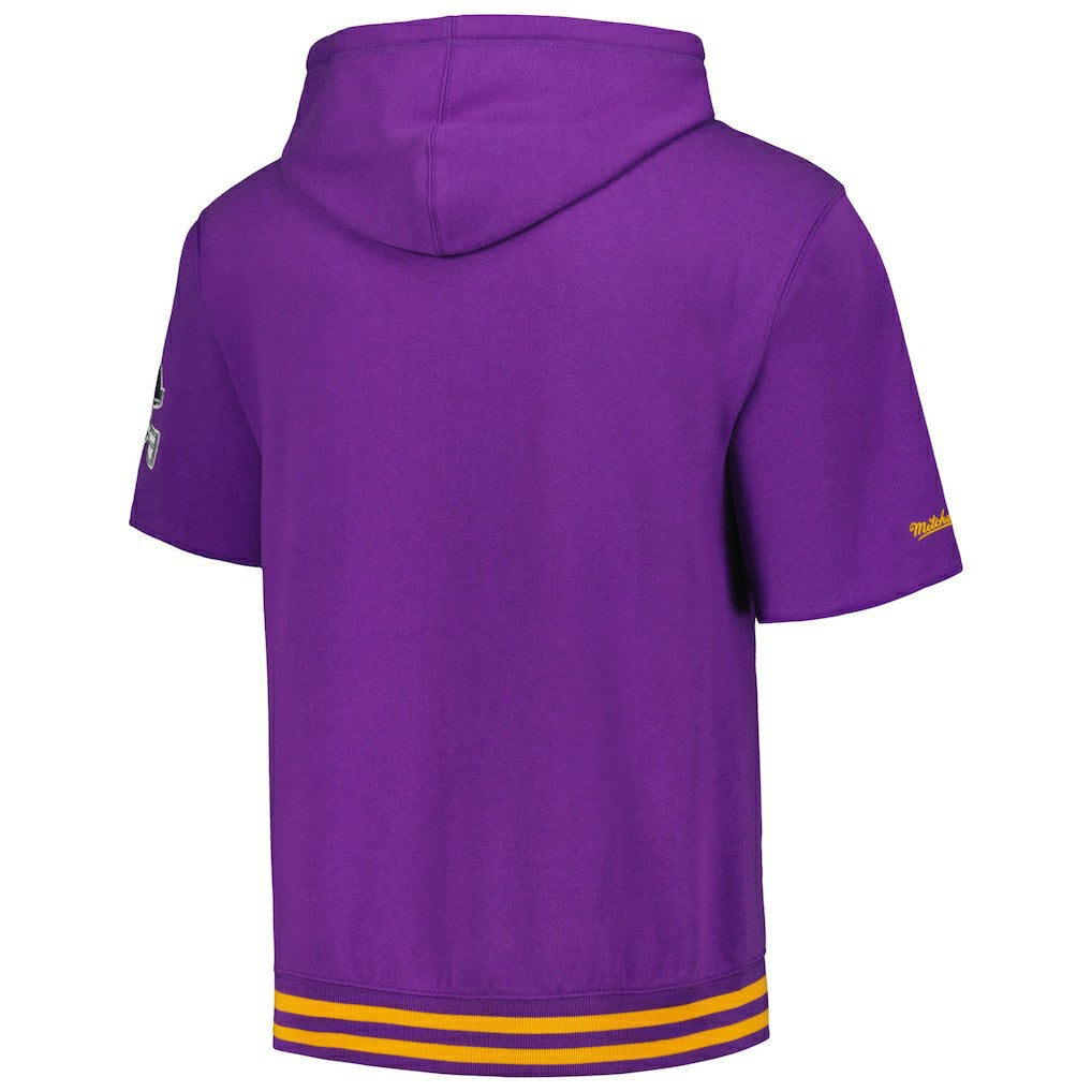 Minnesota Vikings Pre-Game Short Sleeve Pullover Hoodie Purple