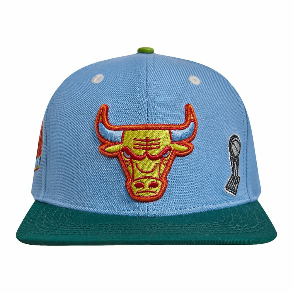 Chicago Bulls Pro Standard Retro Program 2-Tone Snapback Hat Light Blue/Green