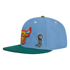 Chicago Bulls Pro Standard Retro Program 2-Tone Snapback Hat Light Blue/Green
