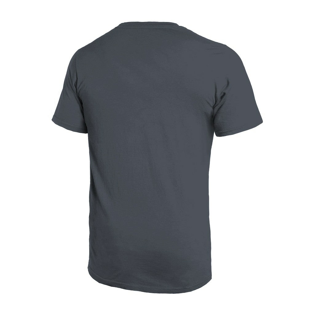 Atlanta Falcons Majestic Threads Sundays Skyline T-Shirt Gray