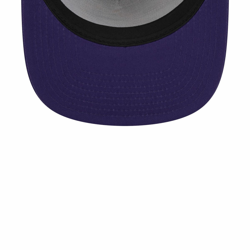 Phoenix Suns Court Sport Speckle 9FIFTY Snapback Hat Purple