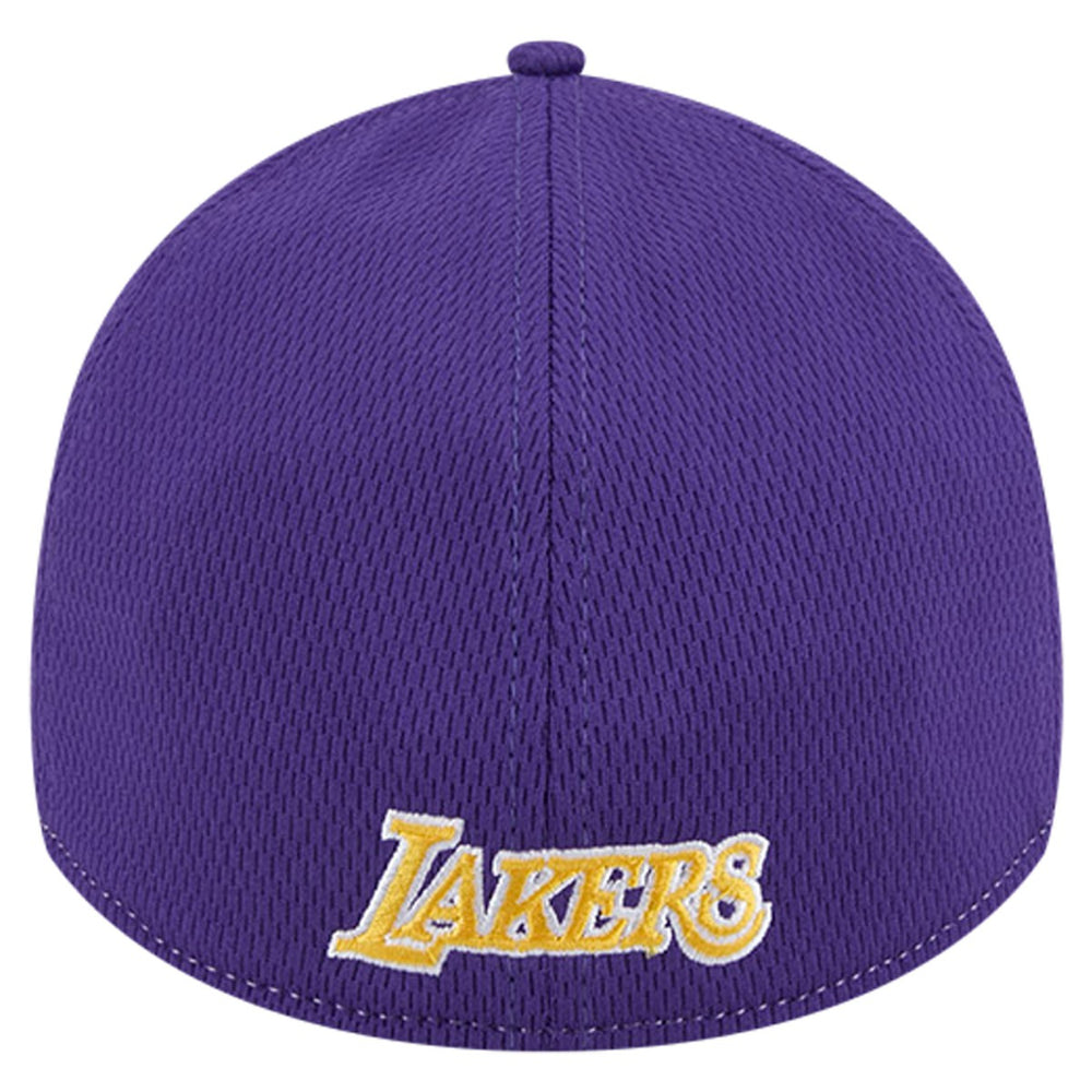 Los Angeles Lakers Two-Tone 39THIRTY Flex Hat Heather Gray/Purple
