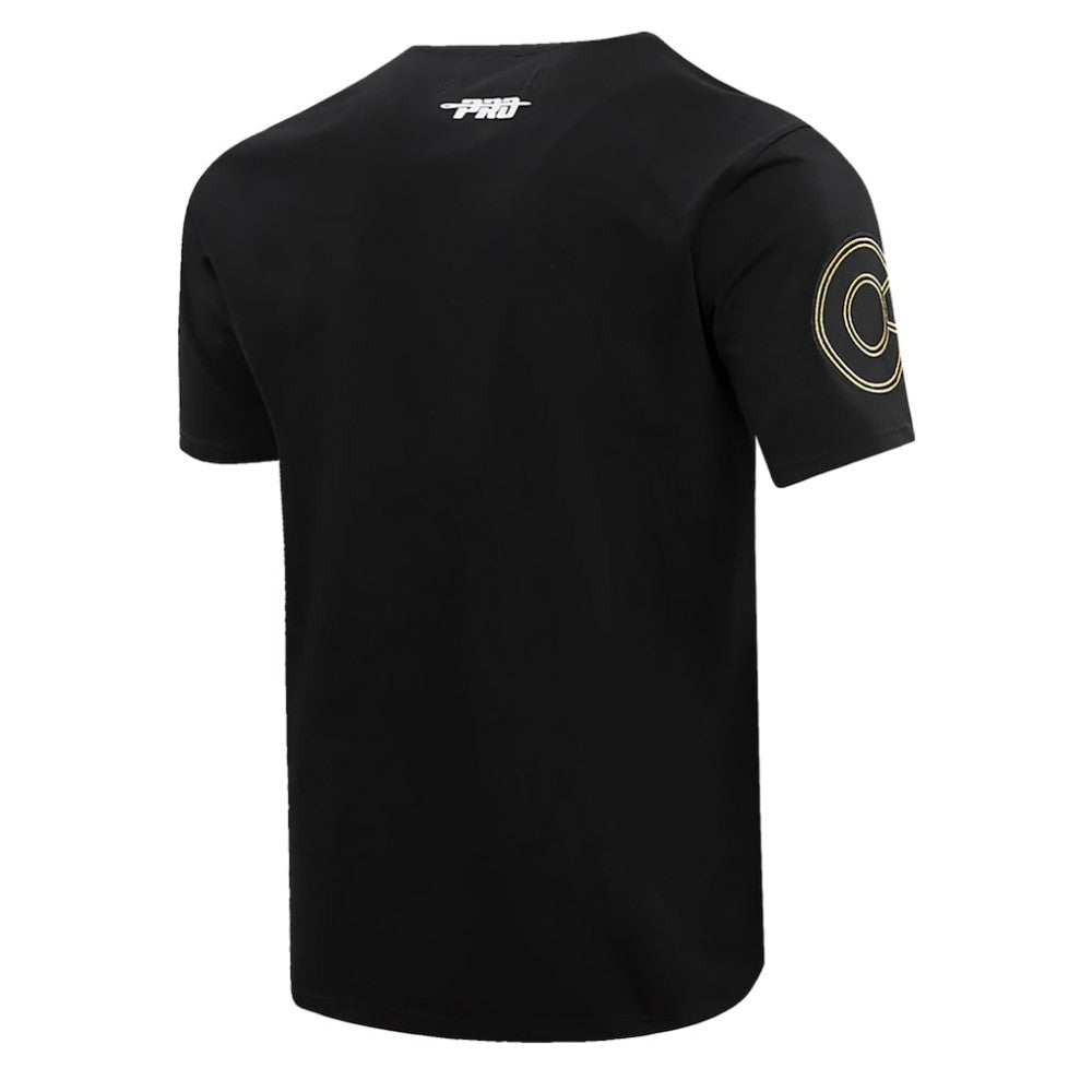 NHL Colorado Avalanche Pro Standard Wordmark T-Shirt - Black