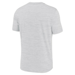 Miami Dolphins Blitz Velocity Modern Dri-FIT T-Shirt Ash