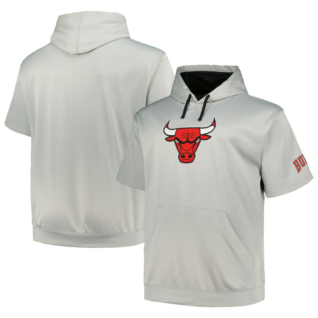 Chicago Bulls Big & Tall Logo Pullover Hoodie Silver