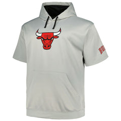 Chicago Bulls Big & Tall Logo Pullover Hoodie Silver
