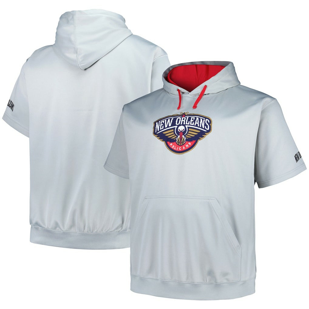 New Orleans Pelicans Big & Tall Logo Pullover Hoodie Silver