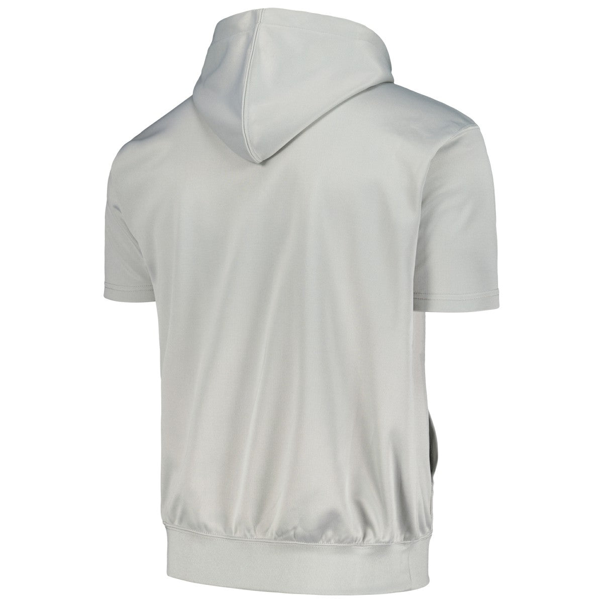 Phoenix Suns Big & Tall Logo Pullover Hoodie Silver