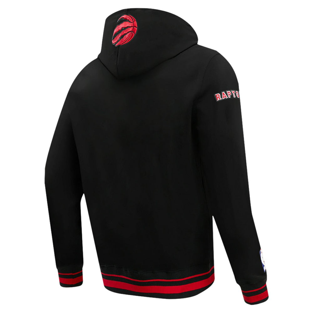 Toronto Raptors Pro Standard Script Tail Pullover Hoodie Black