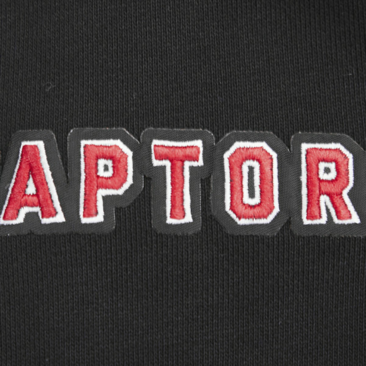 Toronto Raptors Pro Standard Script Tail Pullover Hoodie Black