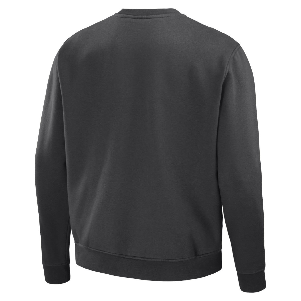Toronto Raptors NBA x Staple Plush Pullover Sweatshirt Anthracite