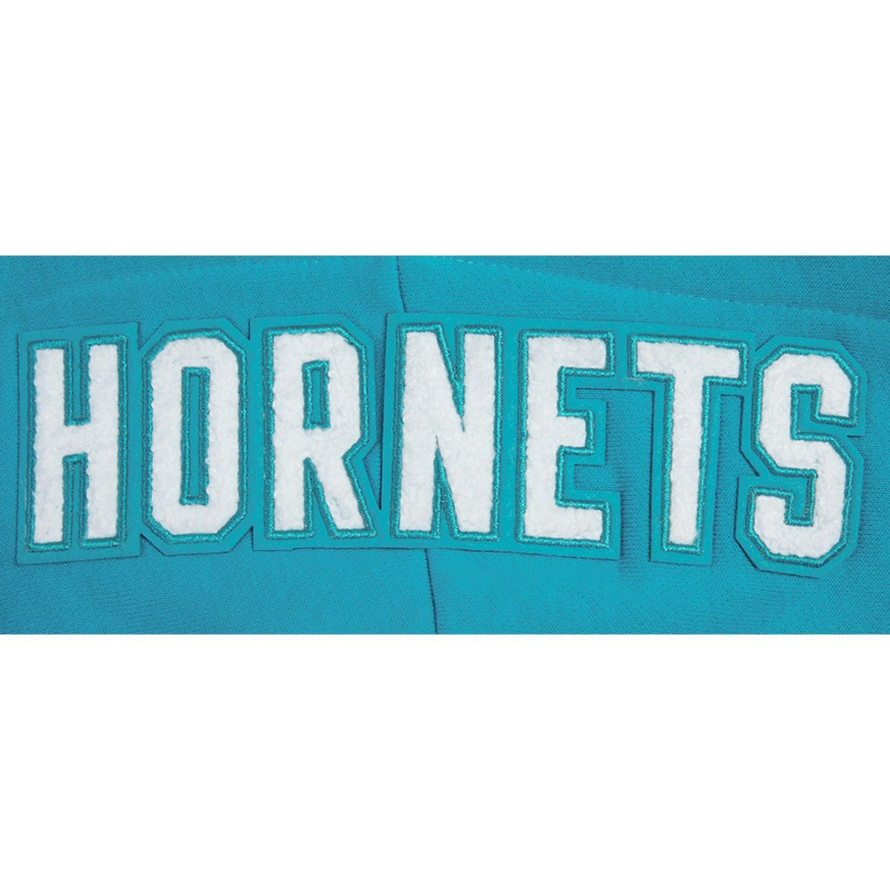 Charlotte Hornets Pro Standard Women's 2023/24 City Edition Cropped Pullover Hoodie Teal
