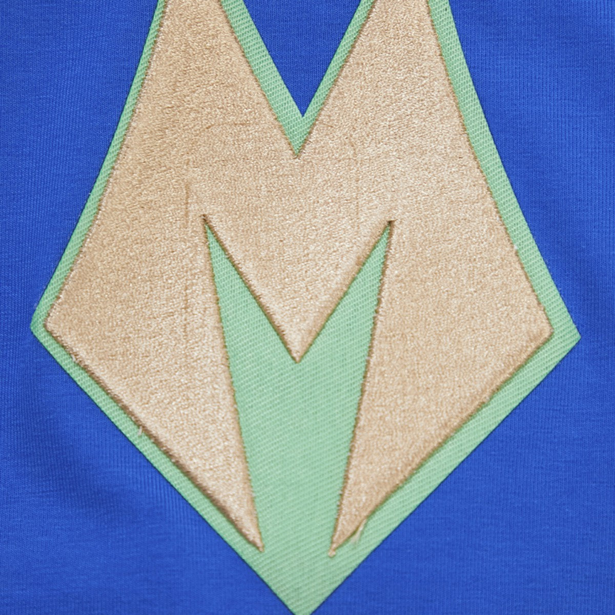 Milwaukee Bucks Pro Standard T-Shirt Royal