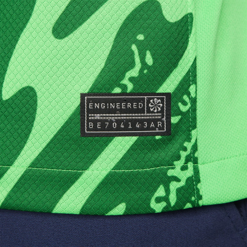 Paris Saint-Germain 2024/25 Goalkeeper Replica Stadium Long Sleeve Jersey Green