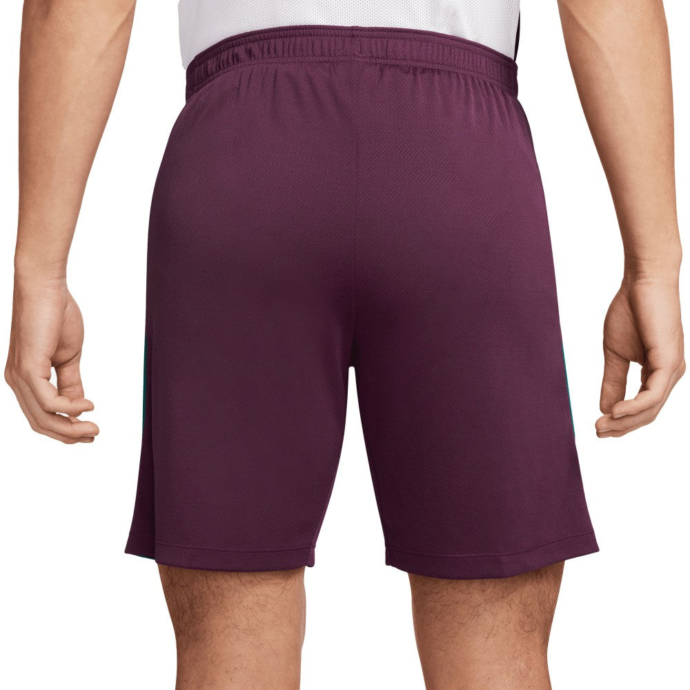 Paris Saint-Germain 2024/25 Strike Shorts Burgundy