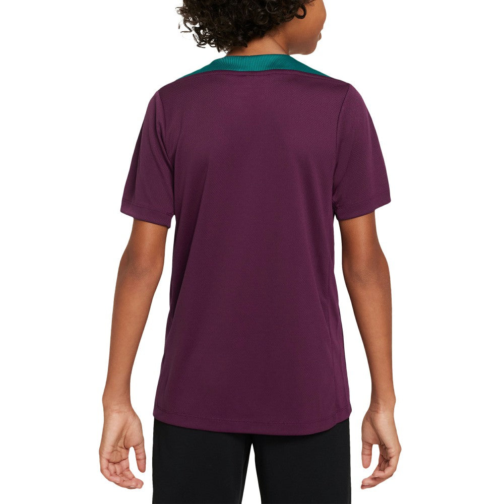 Paris Saint-Germain Youth 2024/25 Strike Training Performance Top Burgundy