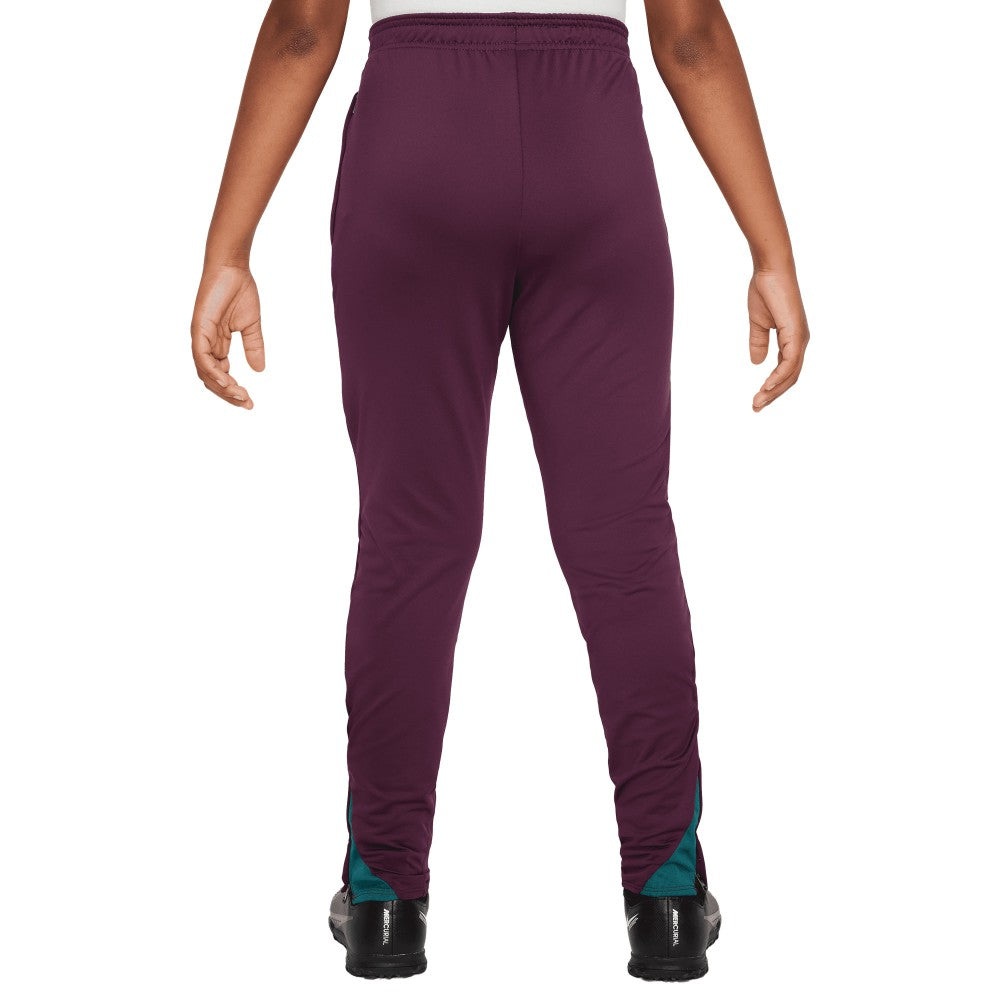 Paris Saint-Germain Youth 2024/25 Strike Training Pants Burgundy
