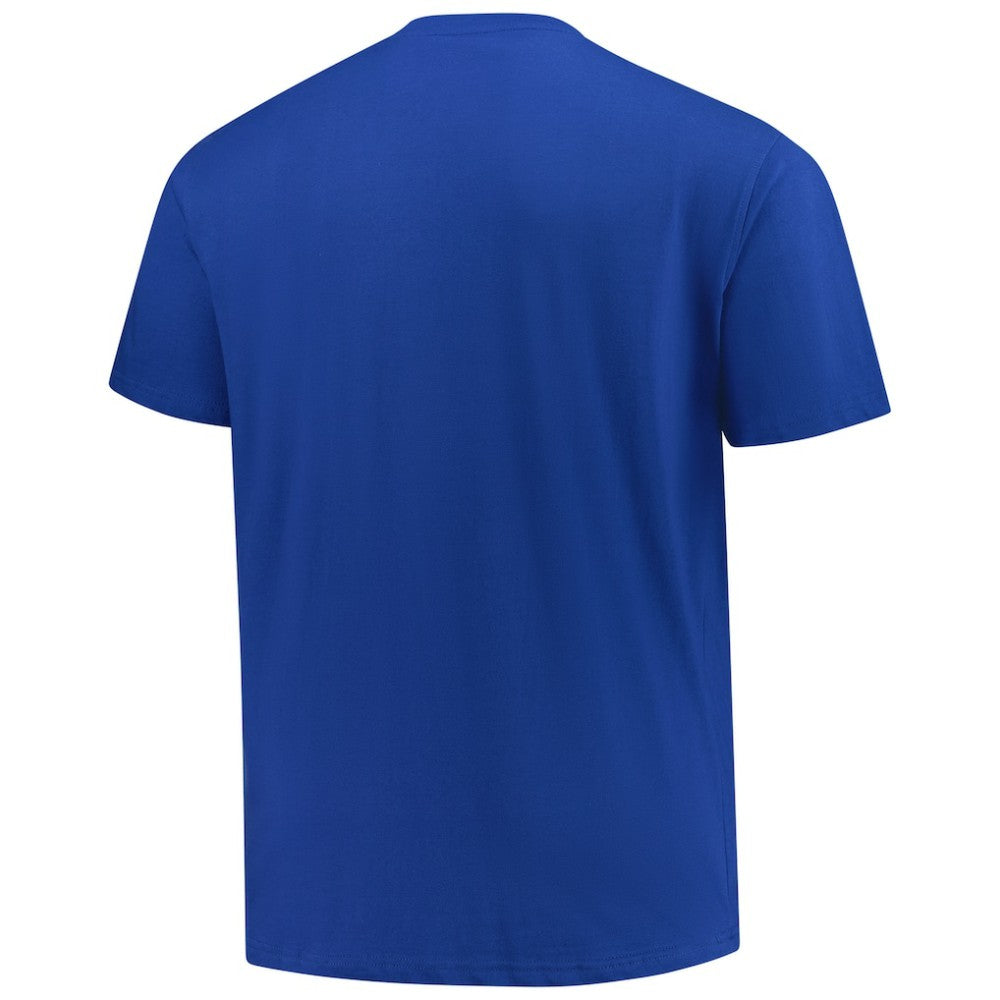 Philadelphia Phillies Profile Big & Tall Weathered Logo T-Shirt - Royal T-shirts