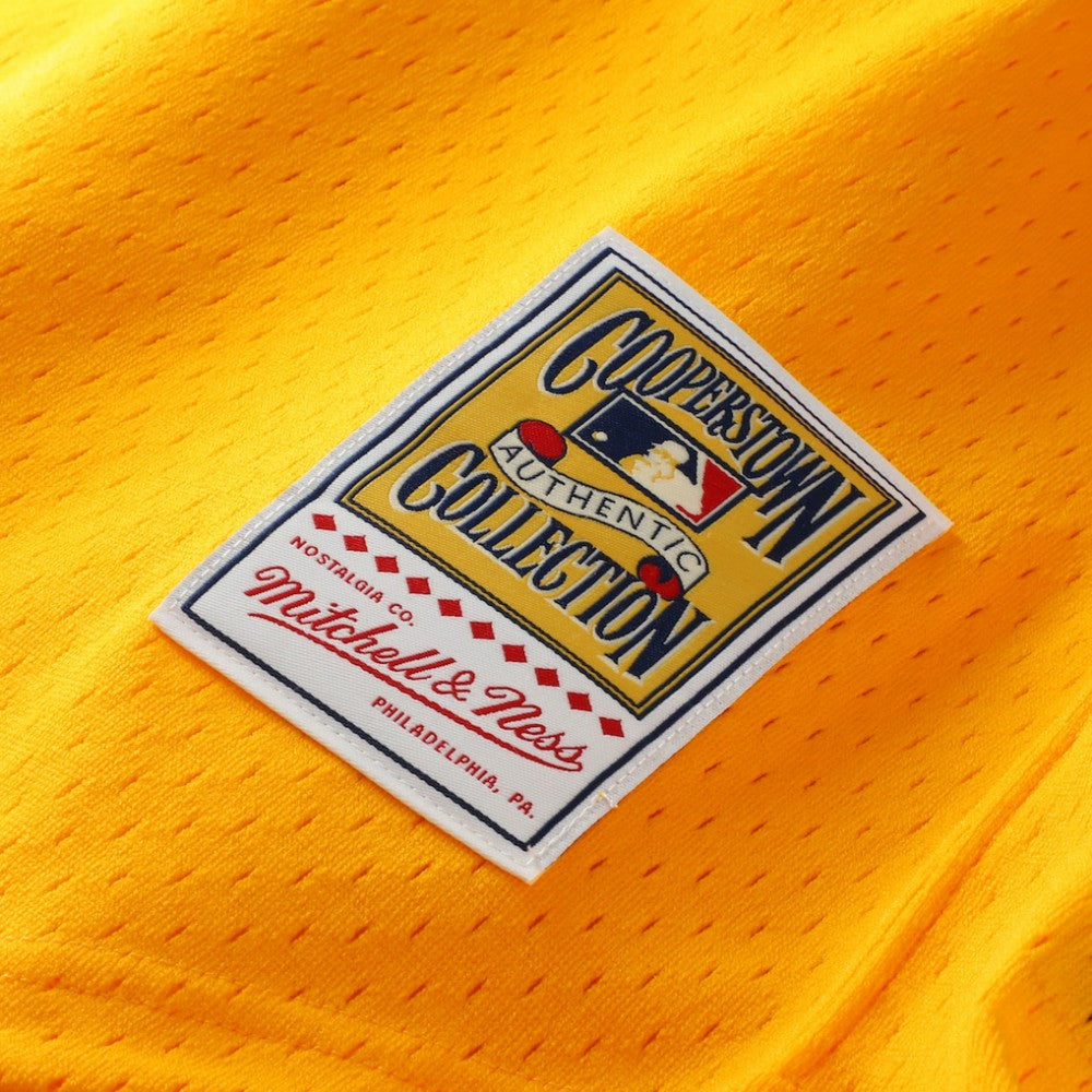 Tony Gwynn San Diego Padres Mitchell & Ness Authentic Batting Practice Jersey - Gold Jerseys