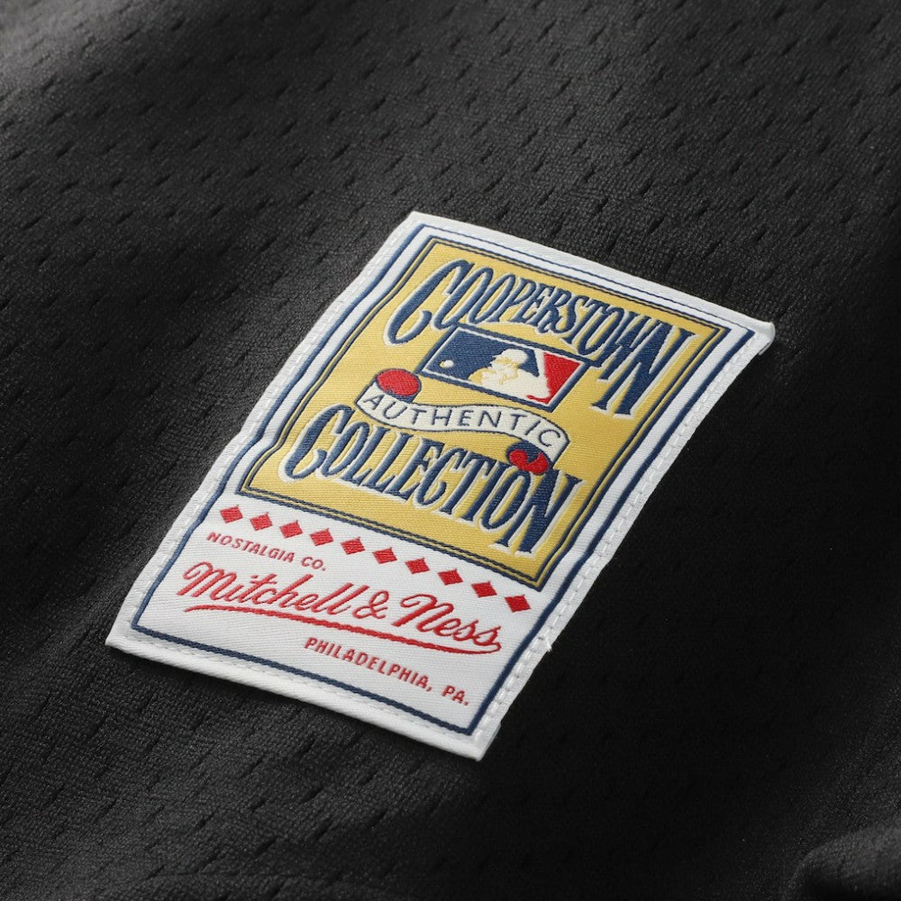 Craig Biggio Houston Astros Mitchell & Ness Authentic Batting Practice Jersey - Black Jerseys