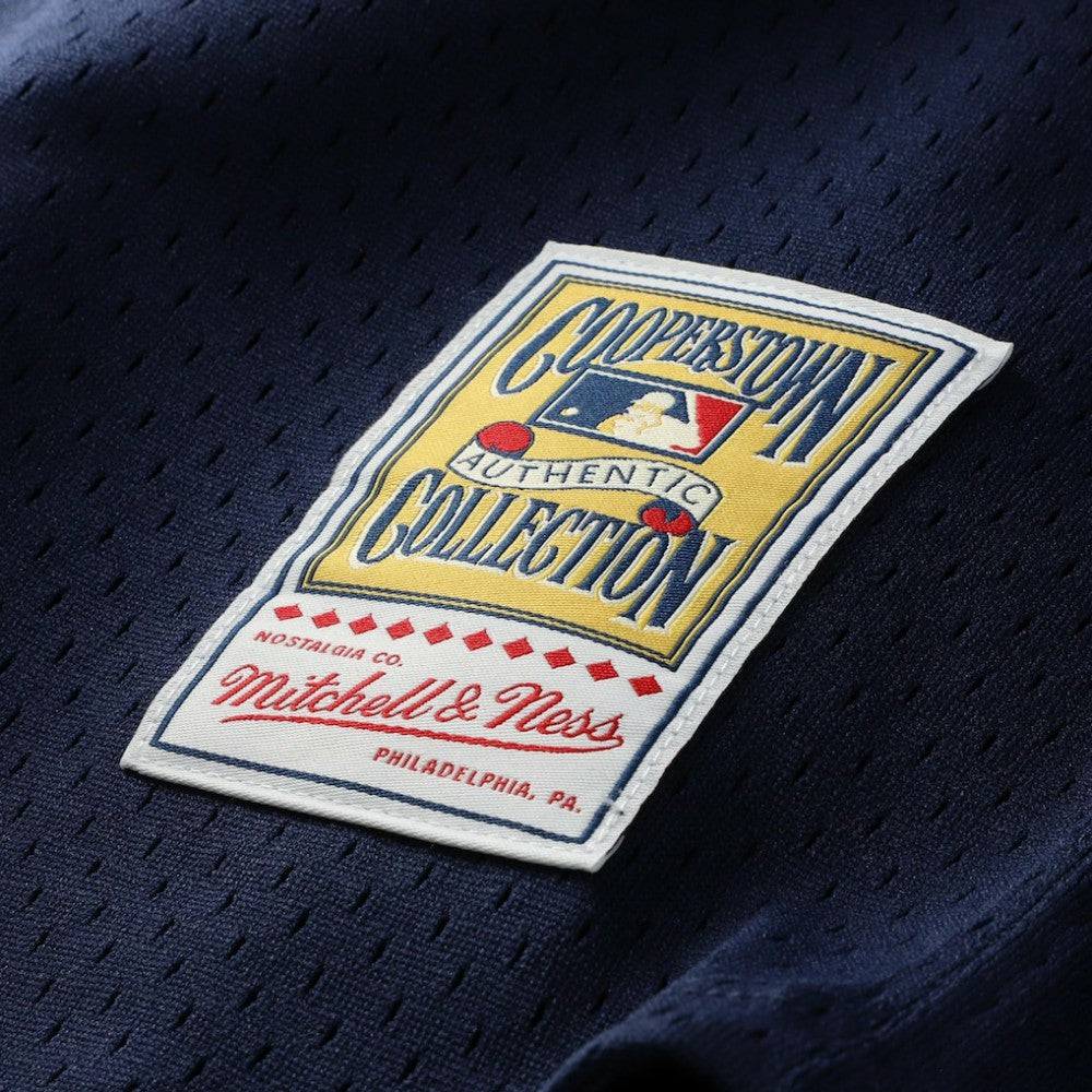 Carlton Fisk Chicago White Sox Mitchell & Ness Authentic Batting Practice Jersey - Navy Jerseys