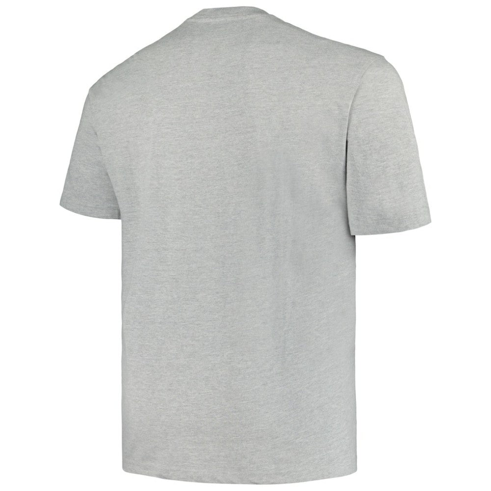 NHL Minnesota Wild Profile Big & Tall Arch Over Logo T-Shirt - Heather Gray