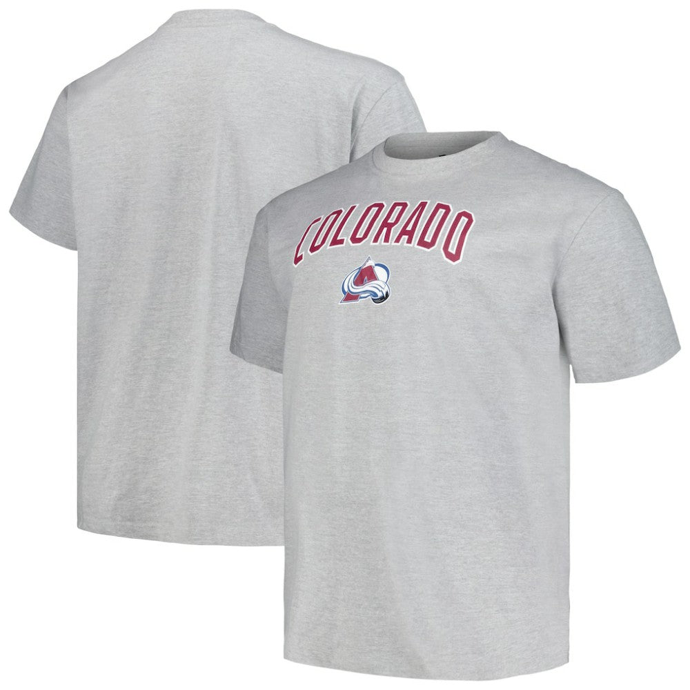 NHL Colorado Avalanche Profile Big & Tall Arch Over Logo T-Shirt - Heather Gray