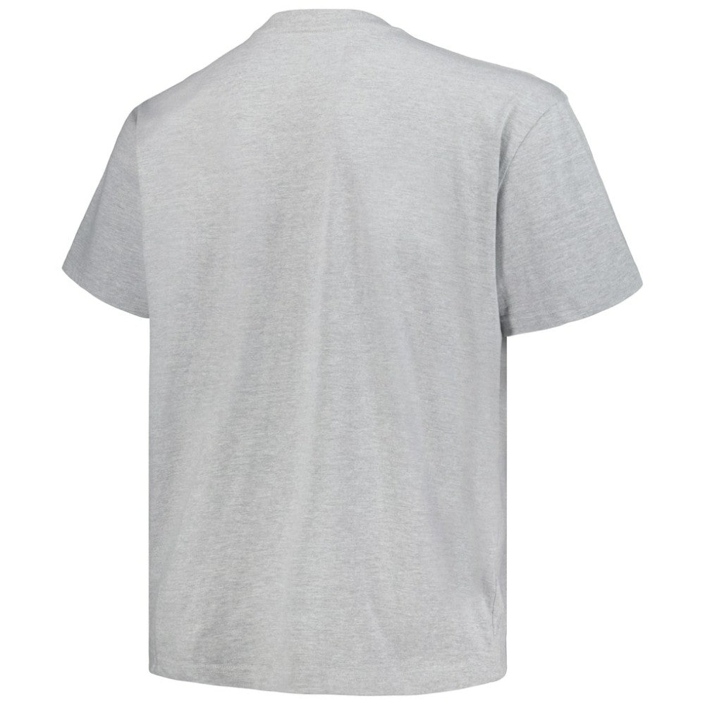NHL Colorado Avalanche Profile Big & Tall Arch Over Logo T-Shirt - Heather Gray
