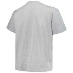 NHL Colorado Avalanche Profile Big & Tall Arch Over Logo T-Shirt - Heather Gray