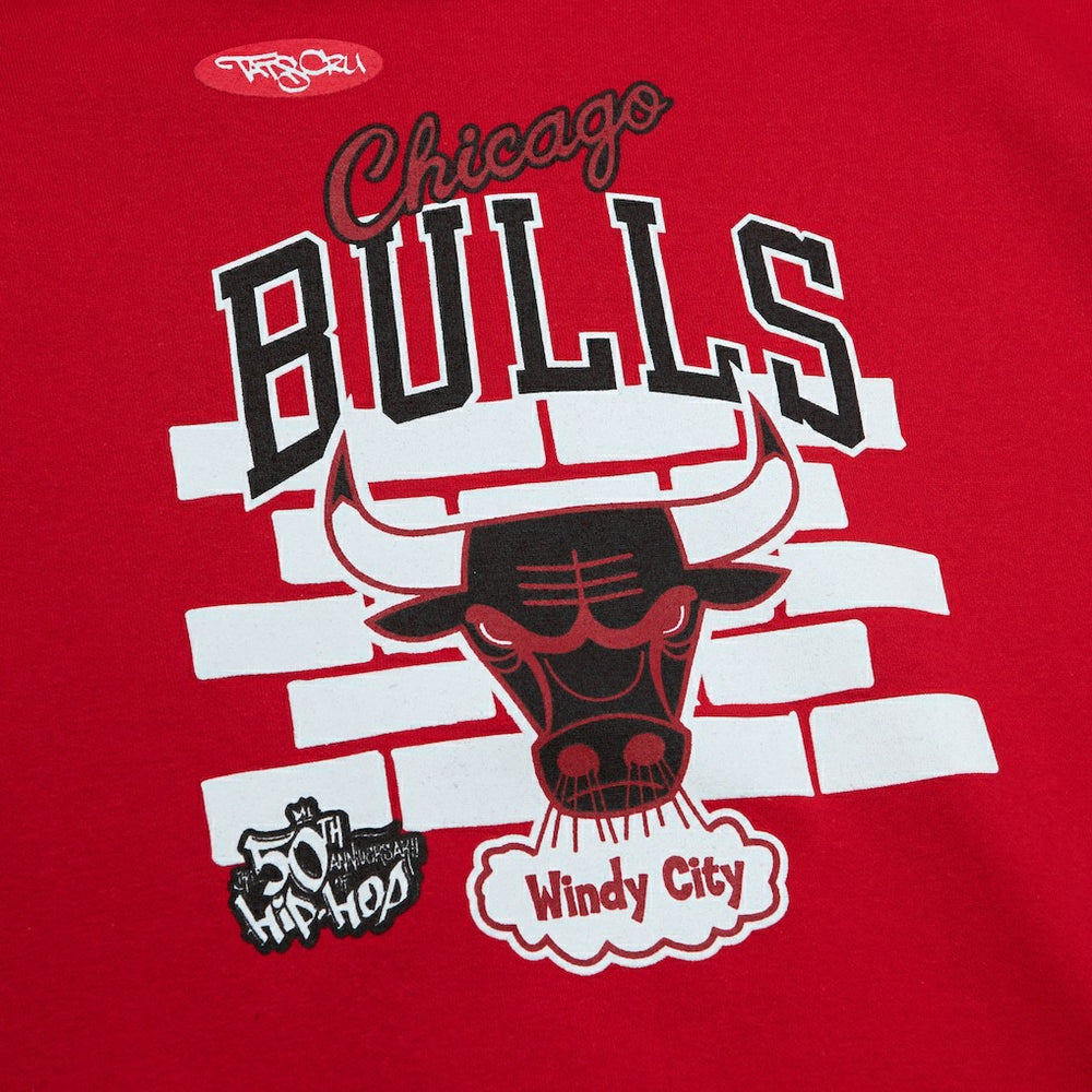 Chicago Bulls x Tats Cru Hardwood Classics Brick Pullover Hoodie Red