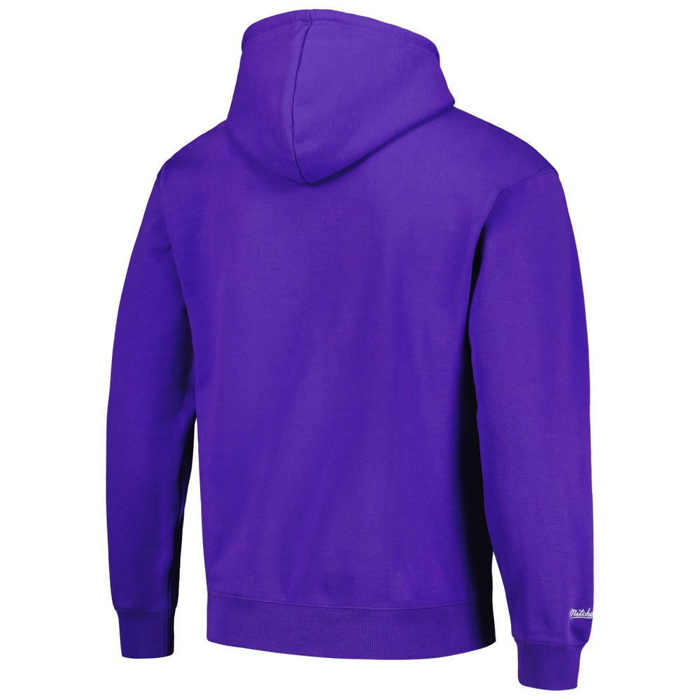 Sacramento Kings Hardwood Classics Tonal Pullover Hoodie Purple