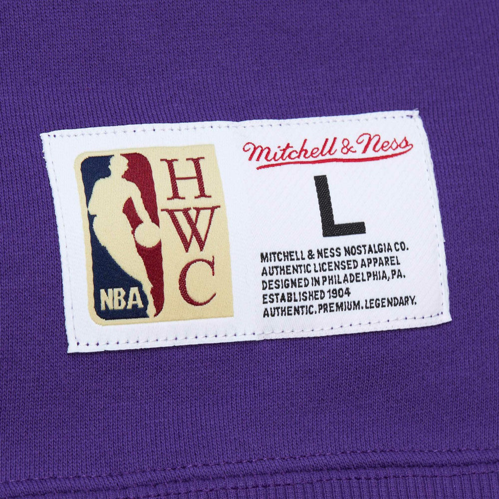 Sacramento Kings Hardwood Classics Tonal Pullover Hoodie Purple