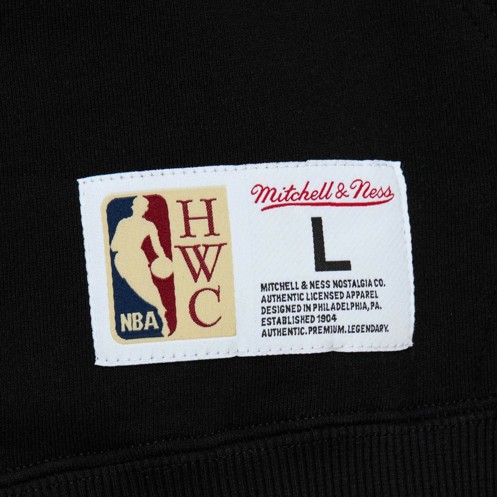 Toronto Raptors Hardwood Classics Tonal Pullover Hoodie Black