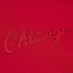 Chicago Bulls Hardwood Classics Tonal Pullover Hoodie Red