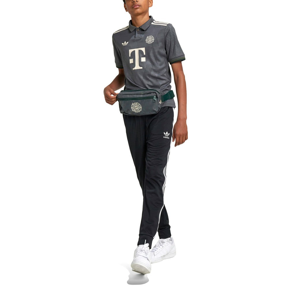 Bayern Munich Youth 2024/25 Wiesn Replica Jersey Gray