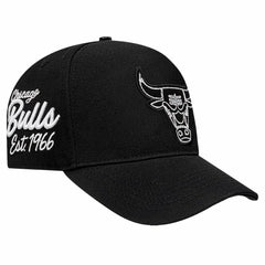 Chicago Bulls Pro Standard Paint the City Pinch Front Snapback Hat Black
