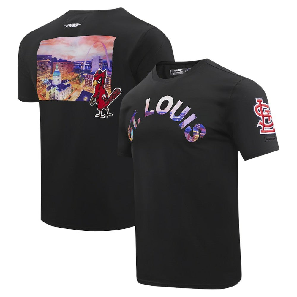 St. Louis Cardinals Pro Standard Cityscape T-Shirt - Black T-shirts