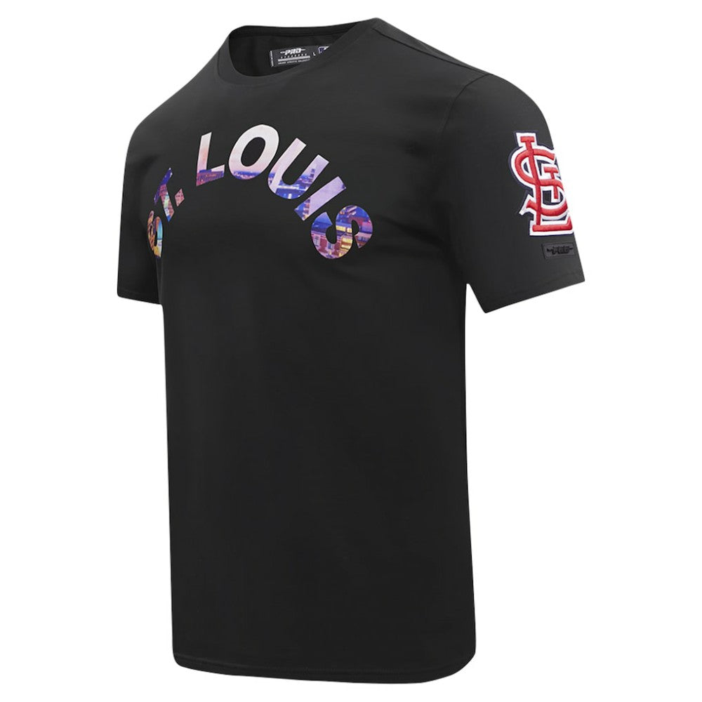 St. Louis Cardinals Pro Standard Cityscape T-Shirt - Black T-shirts