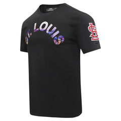 St. Louis Cardinals Pro Standard Cityscape T-Shirt - Black T-shirts