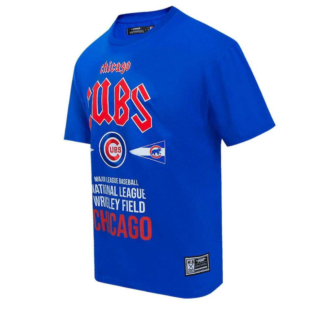 Chicago Cubs Pro Standard Oversized City Tour T-Shirt - Royal T-shirts