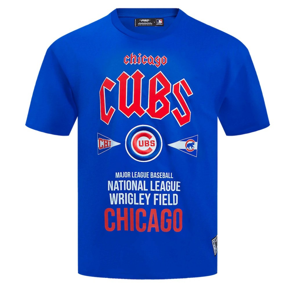 Chicago Cubs Pro Standard Oversized City Tour T-Shirt - Royal T-shirts