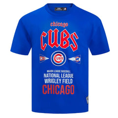 Chicago Cubs Pro Standard Oversized City Tour T-Shirt - Royal T-shirts