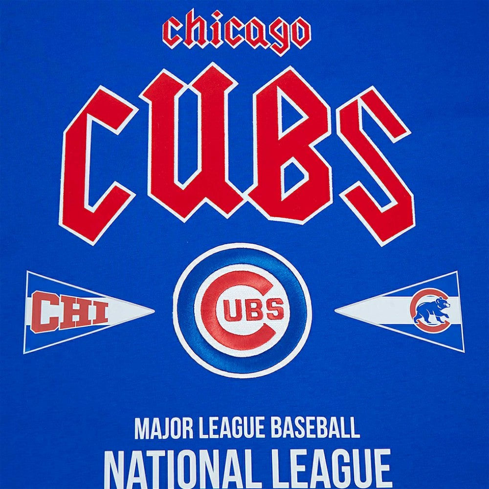 Chicago Cubs Pro Standard Oversized City Tour T-Shirt - Royal T-shirts
