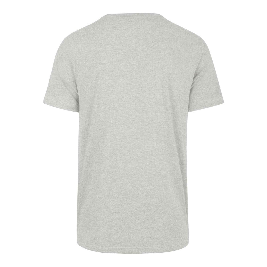 Detroit Lions '47 Downburst Franklin T-Shirt Gray